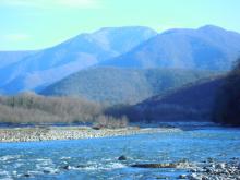 Река Шахэ, Кавказ, местообитание кавказского гольяна. Фото Алексея Малышева.