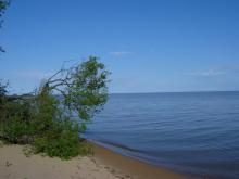 Озеро Ханка. Биотоп обитания. Фото Вячеслава Вериги