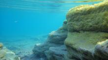 Южный берег Иссык-Куля под водой. Фото Алексея Малышева