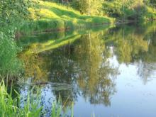 Спокойные участки рек, с заиленным грунтом - любимое местообитание щиповок (Река Валдайка, Тверская область). Фото Алексея Малышева