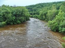 Река Ульбинка в половодье, биотоп гольяна лаговского. Фото Елены Лукиной.